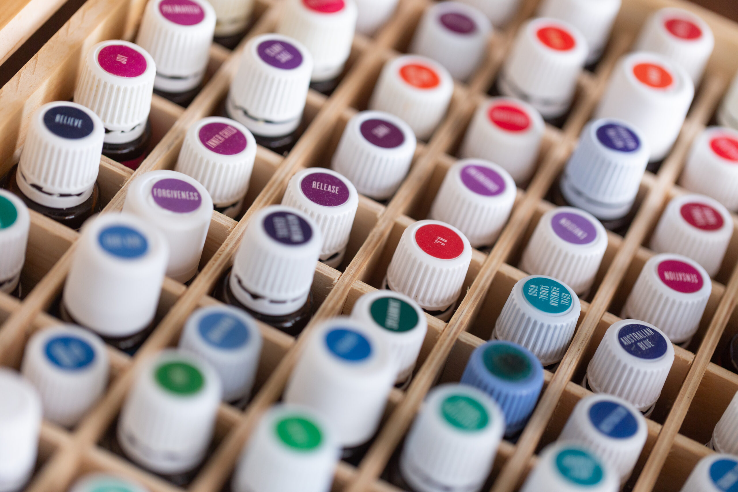 webinars, workshops & trainingen