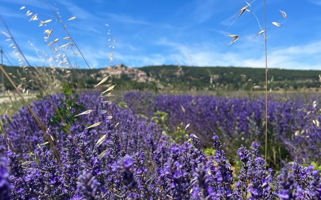 VERHALEN UIT DE PRAKTIJK…..